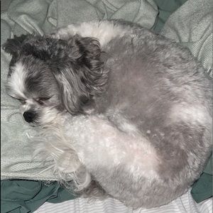 Meet your Posher, Eliza